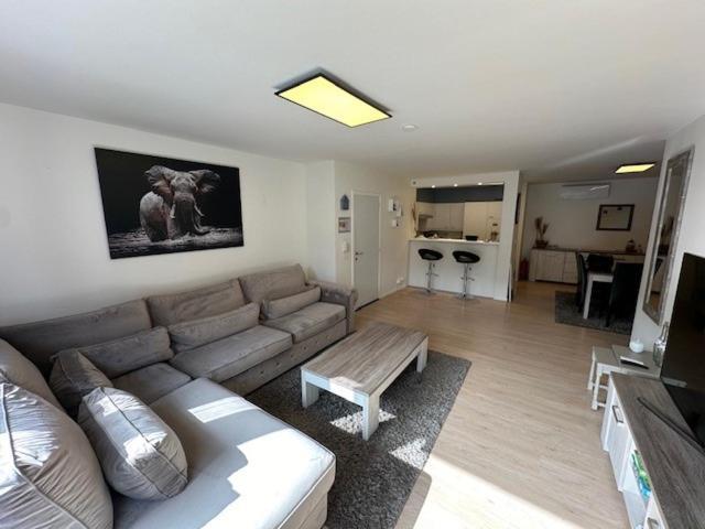 Appartement Anthony بلانكنبرخ المظهر الخارجي الصورة